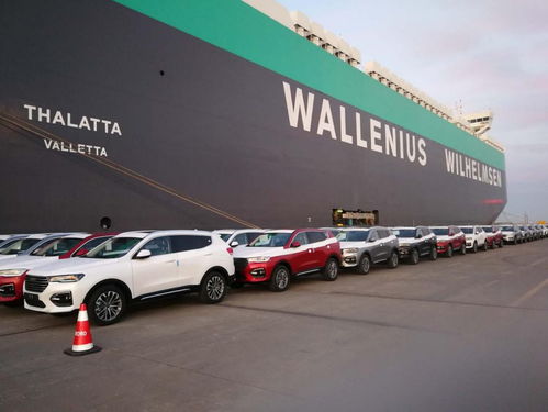 长城汽车魏建军 全球化竞争是品牌持久战，汽车销售不可急功近利