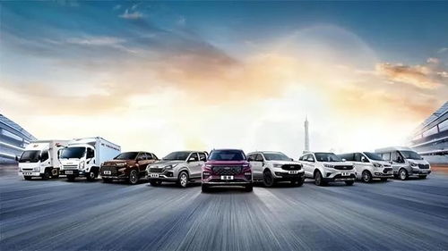 燃油车销量腰斩，电车狂飙突进 价格战下的燃油车市场会崩盘吗？